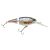 HD Fathead Minnow