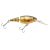 HD Yellow Perch