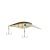 MF Bluegill
