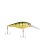 Yellow Perch