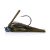 Blue Craw