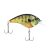 HD Bluegill