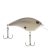 Honey Shad