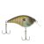 MF Bluegill