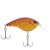 Spring Craw
