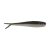 Emerald Shiner