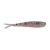 Rainbow Trout