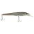 Mangrove Minnow
