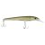 HD Pilchard