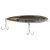 Mangrove Minnow
