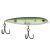 HD Pilchard