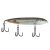 Mangrove Minnow