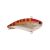 Chrome Red Perch