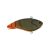 Firetail Green Craw