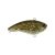HD Goby