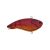 Special Red Craw