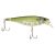 HD Pilchard
