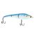American Shad