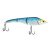 Blue Dark Sardine