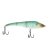 Greenback Ghost