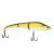 Nat Golden Shiner