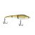 Natural Golden Shiner