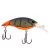 Firetail Green Craw