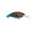 Killer Craw