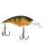 Perch