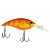 Spring Craw