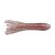 Clear Brown Red Fleck