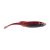 Mutilator Minnow