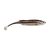 HD Blacknose Shiner