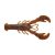 Rusty Craw