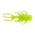 Chartreuse Shad