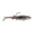 HD Blacknose Shiner