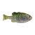 HD Pilchard