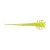 Chartreuse Shad