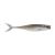 HD Silver Shiner