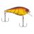 Spring Craw