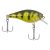 Yellow Perch