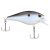 Blue Shad