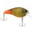 Firetail Green Craw