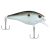 Green Shad
