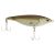 Mangrove Minnow