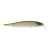MF Tennessee Shad