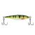 Nat White Perch