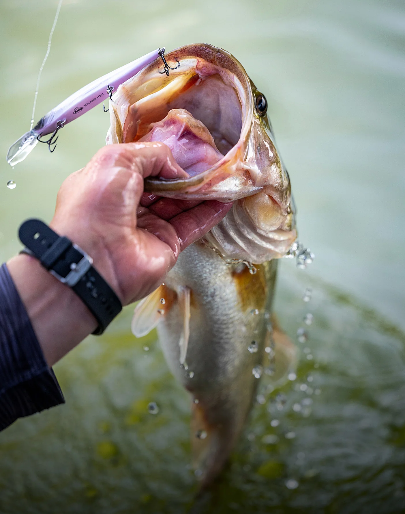 Bass fishing