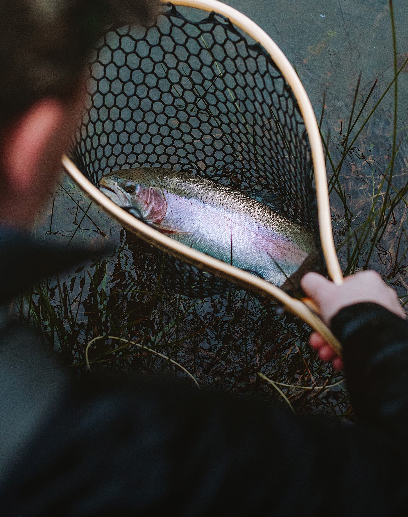 Trout fishing