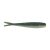 Emerald Shiner